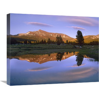 Mount Dana reflected in pond, Yosemite National Park, California-Canvas Art-24&quotx18"