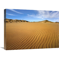 Wind ripples in Kelso Dunes, Mojave National Preserve, California-Canvas Art-24&quotx18"