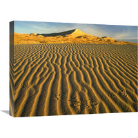 Wind ripples in Kelso Dunes, Mojave National Preserve, California-Canvas Art-24"x18"