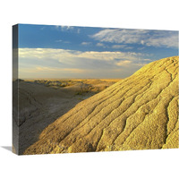 Detail of erosional feature, Badlands National Park, South Dakota-Canvas Art-24"x20"