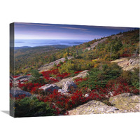 Atlantic coast from Cadillac Mountain, Acadia National Park, Maine-Canvas Art-24"x18"