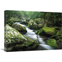 Roaring fork river, Great Smoky Mountains National Park, Tennessee-Canvas Art-24"x18"