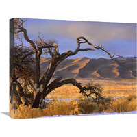 Grasslands and dunes, Great Sand Dunes National Monument, Colorado-Canvas Art-24&quotx20"