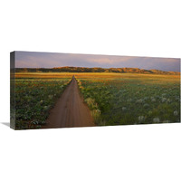 Dirt road and Globemallows Salt Valley, Arches National Park, Utah-Canvas Art-30&quotx13.8"