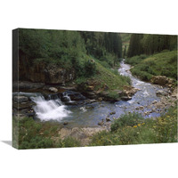 La Plata River, La Plata Canyon, San Juan National Forest, Colorado-Canvas Art-24"x18"