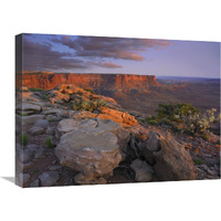 View from the Green River Overlook, Canyonlands National Park, Utah-Canvas Art-24"x18"