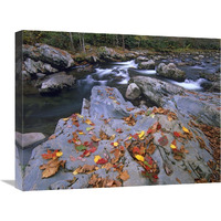 Little Pigeon River, Great Smoky Mountains National Park, Tennessee-Canvas Art-24"x18"