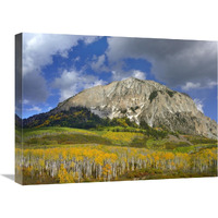 Marcellina Mountain and aspen forest in Raggeds Wilderness, Colorado-Canvas Art-24"x18"