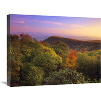 Blue Ridge Mountains with deciduous forests in autumn, North Carolina-Canvas Art-24&quotx18"