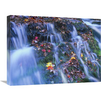 Laurel Creek cascades, Great Smoky Mountains National Park, Tennessee-Canvas Art-24"x18"