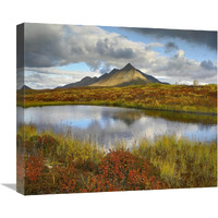 Pond and Ogilvie Mountains, Tombstone Territorial Park, Yukon, Canada-Canvas Art-22"x18.92"