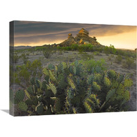 Opuntia and hoodoos, Big Bend National Park, Chihuahuan Desert, Texas-Canvas Art-24"x18"