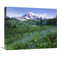 Incoming fog on Mount Rainier, Mount Rainier National Park, Washington-Canvas Art-22&quotx18.26"