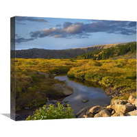 Black Hills landscape showing prairie and Ponderosa Pines South Dakota-Canvas Art-22&quotx18.26"