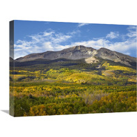 Aspen forest and East Beckwith Mountain, West Elk Wilderness, Colorado-Canvas Art-24&quotx18"