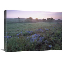 Misty morning over prairie, Tallgrass Prairie National Preserve, Kansas-Canvas Art-24&quotx18"