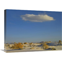 Cloud over White Sands National Monument, Chihuahuan Desert, New Mexico-Canvas Art-24"x18"