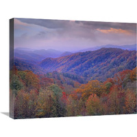 Autumn deciduous forest, Great Smoky Mountains National Park, Tennessee-Canvas Art-24"x20"