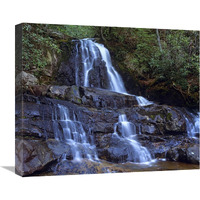 Waterfall, Laurel Creek, Great Smoky Mountains National Park, Tennessee-Canvas Art-22"x18.26"