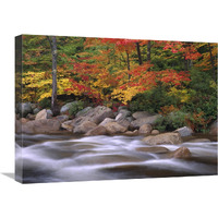 Autumn along Swift River, White Mountains National Forest, New Hampshire-Canvas Art-24"x18"