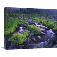 Paradise River with wildflowers, Mount Rainier National Park, Washington-Canvas Art-24"x20"