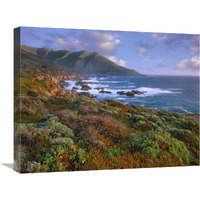 Cliffs and the Pacific Ocean, Garrapata State Beach, Big Sur, California-Canvas Art-24"x20"