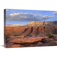 Aubrey Cliffs from Toroweap Overlook, Grand Canyon National Park, Arizona-Canvas Art-24"x18"