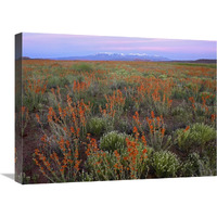 La Sal Mountains and Globemallows Salt Valley, Arches National Park, Utah-Canvas Art-24"x18"