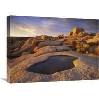 Water that has collected in boulder, Joshua Tree National Park, California-Canvas Art-24"x18"