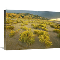 Sangre de Cristo Mountains at Great Sand Dunes National Monument, Colorado-Canvas Art-24"x18"