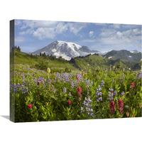 Paradise Meadow and Mount Rainier, Mount Rainier National Park, Washington-Canvas Art-24&quotx18"