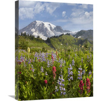 Paradise Meadow and Mount Rainier, Mount Rainier National Park, Washington-Canvas Art-18&quotx24"