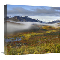 Fog over tundra, Tombstone Range, Tombstone Territorial Park, Yukon, Canada-Canvas Art-22"x20.02"