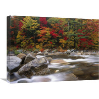 Wild river in eastern hardwood forest, White Mountains National Forest, Maine-Canvas Art-24"x18"