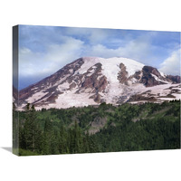 Mount Rainier with coniferous forest, Mount Rainier National Park, Washington-Canvas Art-24&quotx18"