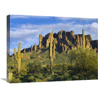 Saguaro cacti and Superstition Mountains at Lost Dutchman State Park, Arizona-Canvas Art-24"x18"