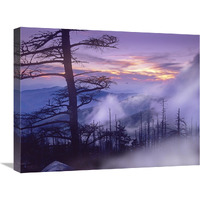 Rolling fog on Clingman"s Dome, Great Smoky Mountains National Park, Tennessee-Canvas Art-24"x18"