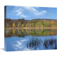 Deciduous forest along Lackawanna Lake, Ricketts Glen State Park, Pennsylvania-Canvas Art-22"x19.36"