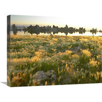 Squirreltail Barley and Tufa Towers silhouetted at dawn, Mono Lake, California-Canvas Art-24&quotx18"