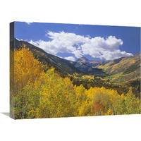 Haystack Mountain with aspen forest, Maroon Bells-Snowmass Wilderness, Colorado-Canvas Art-24&quotx18"