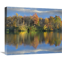 Deciduous forest in autumn along Price Lake, Blue Ridge Parkway, North Carolina-Canvas Art-22"x18.7"