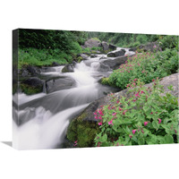 Paradise River surrounded by spring flowers, Mt Rainier National Park, Washington-Canvas Art-24"x18"