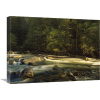 Merced River flowing through the valley floor, Yosemite National Park, California-Canvas Art-24"x18"