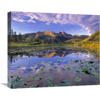 Lily Pads and reflection of Snowdon Peak in pond, west Needle Mountains, Colorado-Canvas Art-22"x18.48"