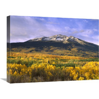 East Beckwith Mountain and trees in fall color, Gunnison National Forest, Colorado-Canvas Art-24"x18"