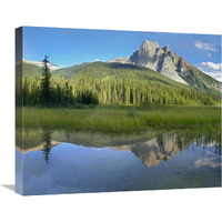 Mt Burgess reflected in Emerald Lake, Yoho National Park, British Columbia, Canada-Canvas Art-24&quotx20"