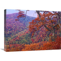 Blue Ridge Range with autumn deciduous forest, near Buck Creek Gap, North Carolina-Canvas Art-24"x18"