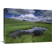 Cumulus clouds reflected in pond at Guanella Pass, Arapaho National Forest, Colorado-Canvas Art-24&quotx18"