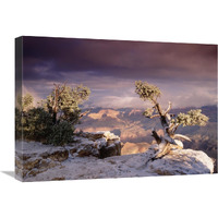 South Rim of Grand Canyon with a dusting of snow, Grand Canyon National Park, Arizona-Canvas Art-24&quotx18"