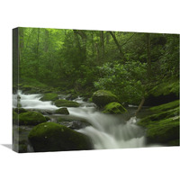 Roaring Fork River flowing through the Great Smoky Mountains National Park, Tennessee-Canvas Art-24"x18"